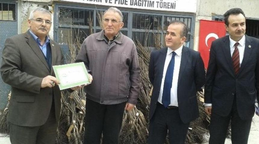 &Ccedil;ift&ccedil;ilere Ceviz Fidanı Dağıtıldı