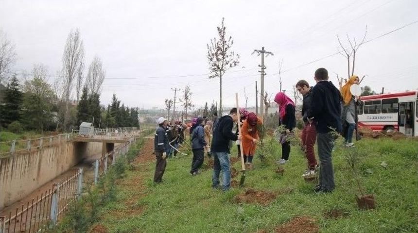 41 Gen&ccedil; 41 Gelecek Gen&ccedil;leri Gebze&rsquo;de Fidan Dikti