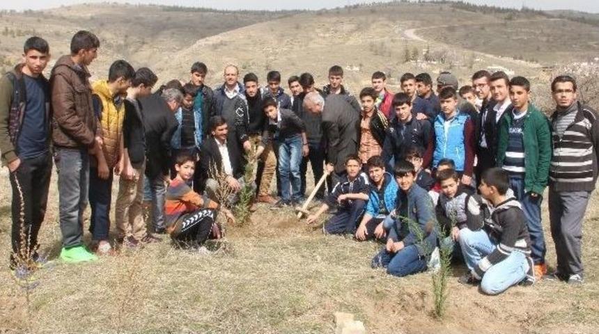 Elazığ&rsquo;da Nevruz Ormanı&rsquo;na Fidan Dikildi