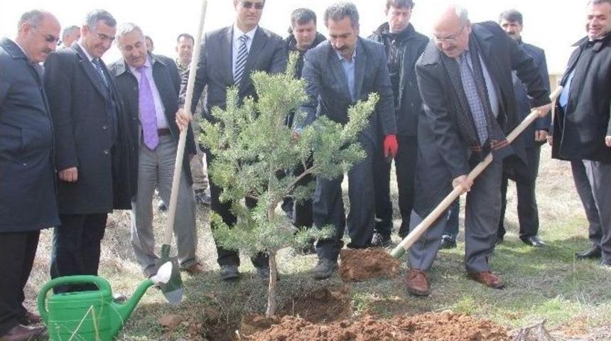 Bing&ouml;l&rsquo;de Orman Haftası Kapsamında Fidan Dikimi Ger&ccedil;ekleştirildi