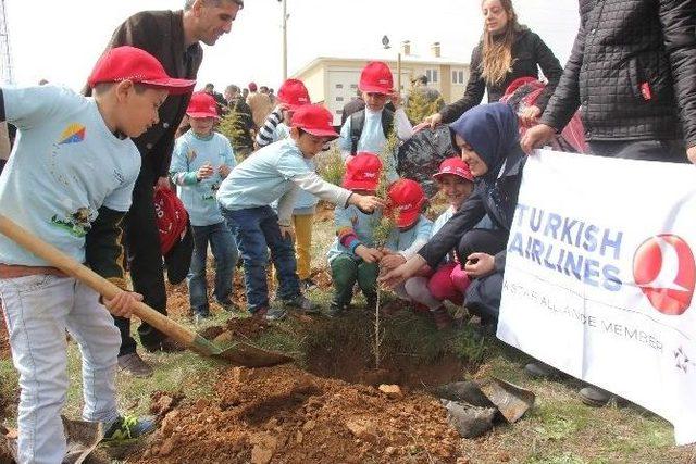 Bingöl’de Orman Haftası Kapsamında Fidan Dikimi Gerçekleştirildi