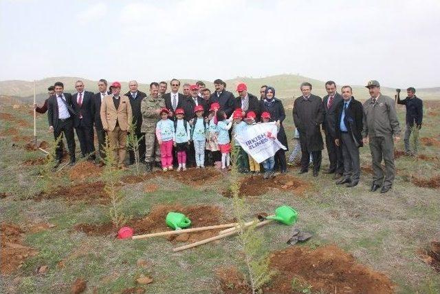 Bingöl’de Orman Haftası Kapsamında Fidan Dikimi Gerçekleştirildi