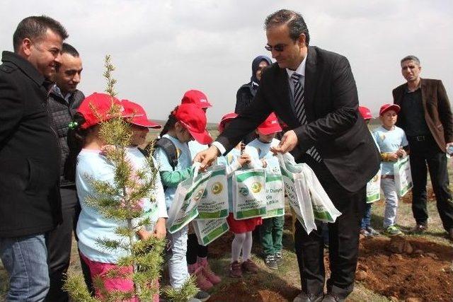 Bingöl’de Orman Haftası Kapsamında Fidan Dikimi Gerçekleştirildi