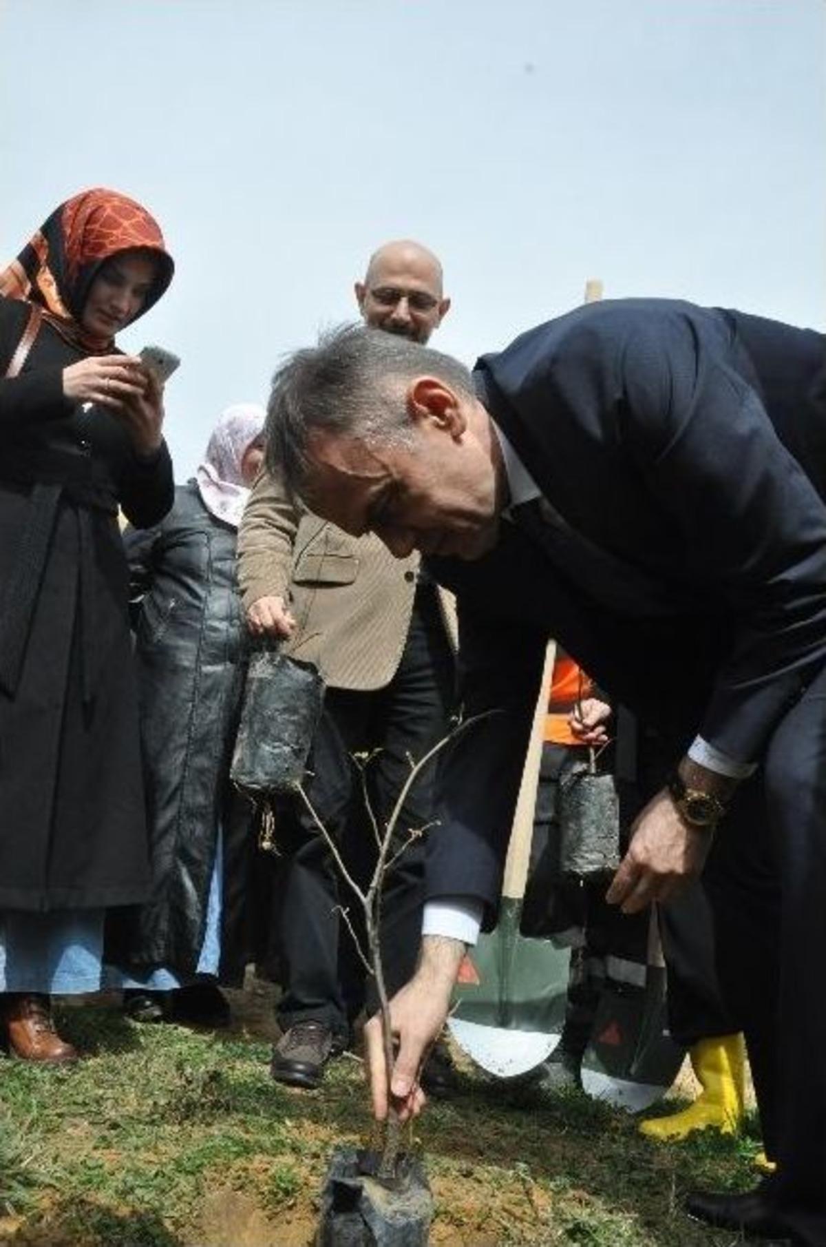 &Ccedil;ocuklar, Aileleriyle Birlikte Fidan Dikti