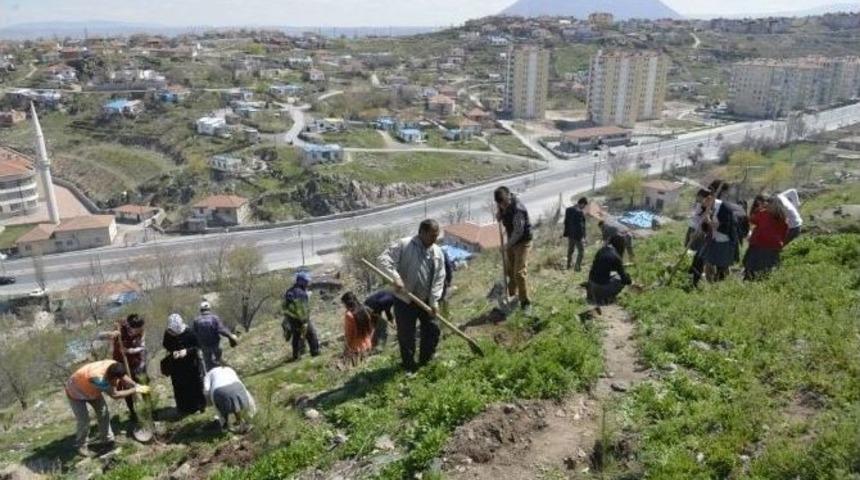 Melikgazi Belediyesi 3 Bin Fidanı Toprakla Buluşturdu