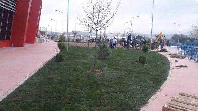 Lodosun Yıktığı Ağa&ccedil;lar Kaldırıldı 1