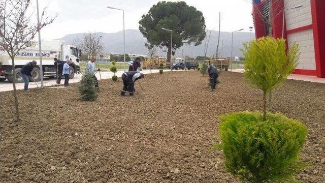 Lodosun Yıktığı Ağa&ccedil;lar Kaldırıldı 2