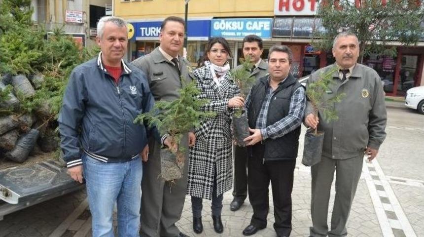 Fatsa&rsquo;da 5 Bin Fidan 15 Dakika İ&ccedil;inde T&uuml;kendi