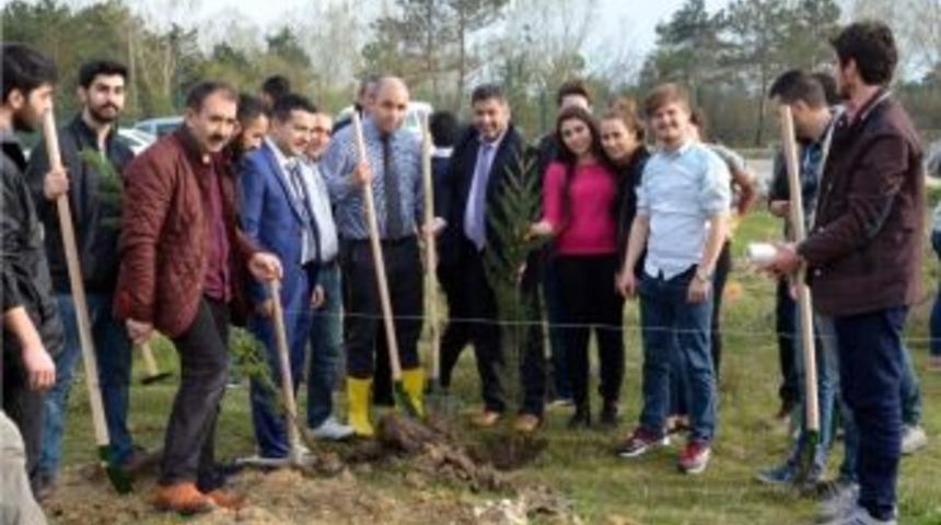 &rsquo;kamp&uuml;se Merhaba&rsquo; Etkinliğinde 200 Fidan Dikildi