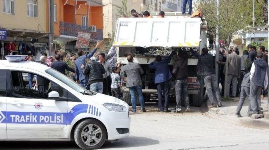 Ceylanpınar Belediyesi &Uuml;cretiz Fidan Dağıttı