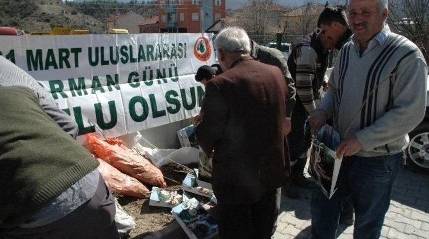 D&uuml;nya Ormancılık G&uuml;n&uuml;&rsquo;nde 2 Bin 300 Fidan Dağıtıldı