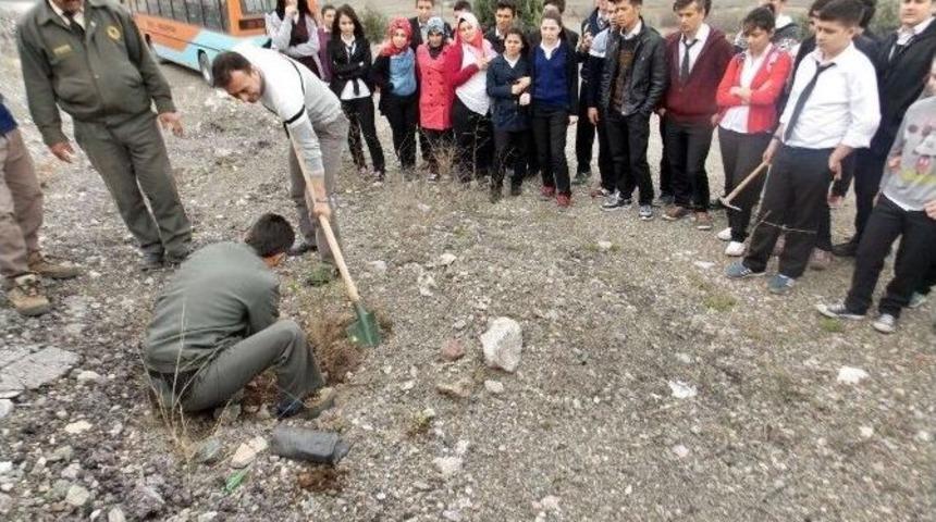 Kargı Metem &Ouml;ğrencileri Fidan Dikti