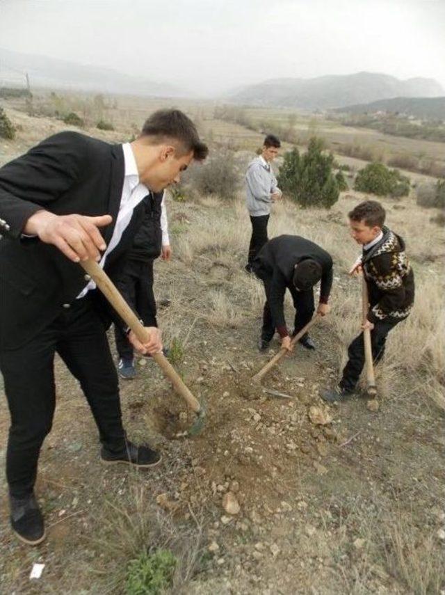 Kargı Metem Öğrencileri Fidan Dikti