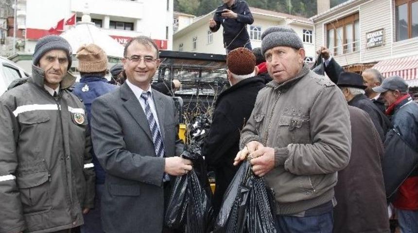 Bin 840 Fidan Dağıtıldı