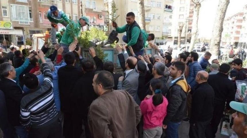 Cuma Namazı Sonrası 18 Bin Fidan Dağıtıldı