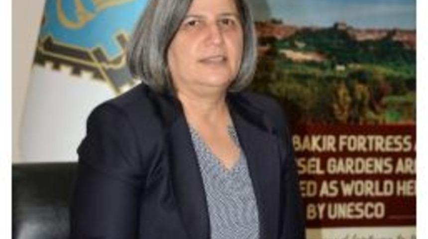 Kışanak&rsquo;tan &lsquo;sur&rsquo;da Kamulaştırma&rsquo; Kararına Tepki