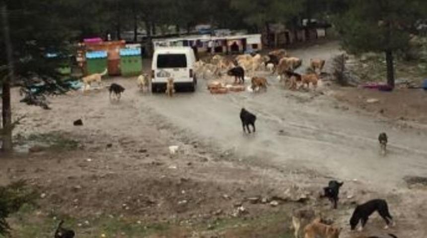 Nata Vega Outlet&rsquo;te Artık Yemekler &Ccedil;&ouml;pe Gitmiyor