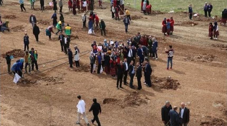 Karak&ouml;pr&uuml;&rsquo;de Bin 200 Nar Fidanı Dikildi