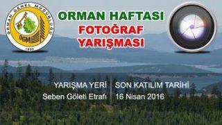Fotoğraf Yarışmasına Sende Katıl