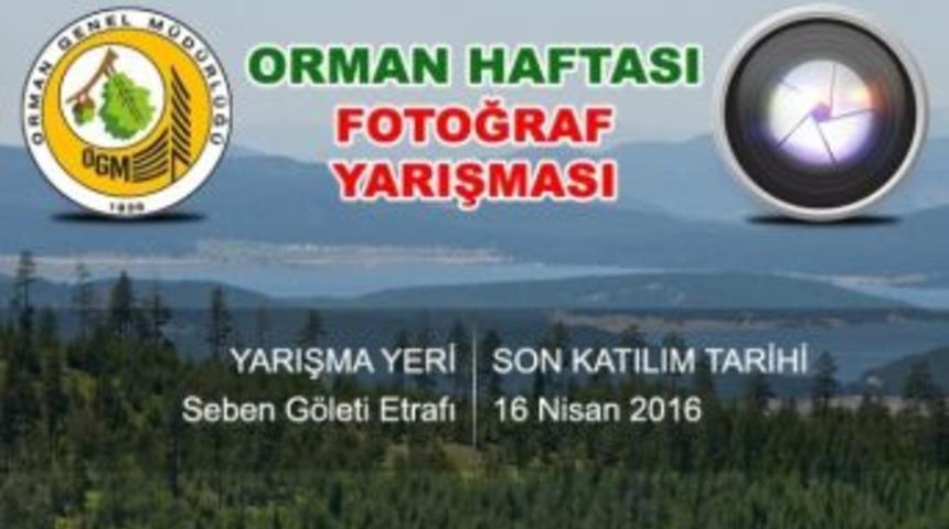 Fotoğraf Yarışmasına Sende Katıl