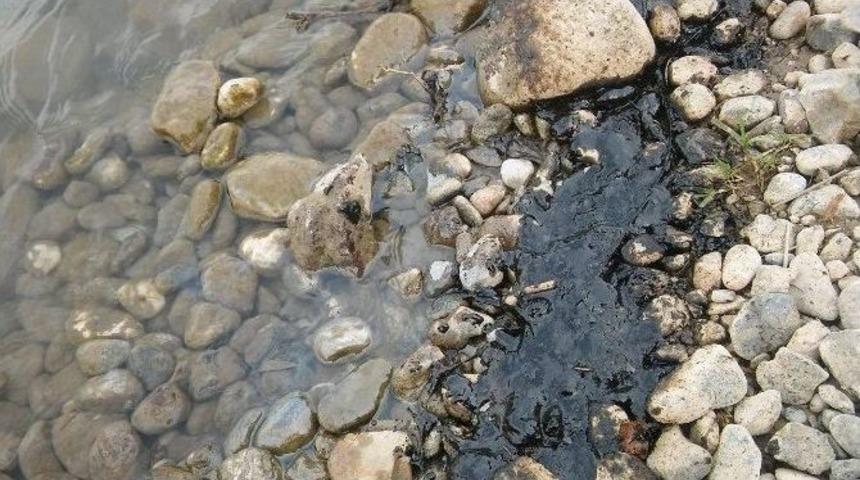 Kahta Çayı’nda Petrol Atığı