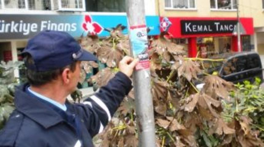 İzmit Zabıtası İzinsiz Afişleri Kaldırıyor