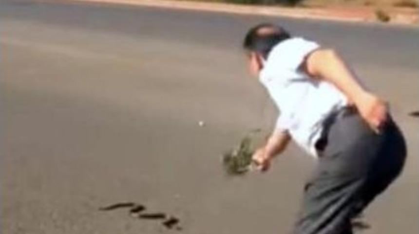 Yılan İ&ccedil;in Trafiği Durdurdular