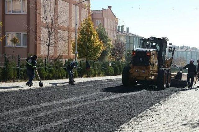 Odunpazarı Bahara Hazırlanıyor