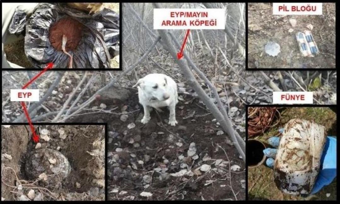 B&ouml;l&uuml;c&uuml; &Ouml;rg&uuml;t&uuml;n Kırsalda Da Nefesi Kesildi