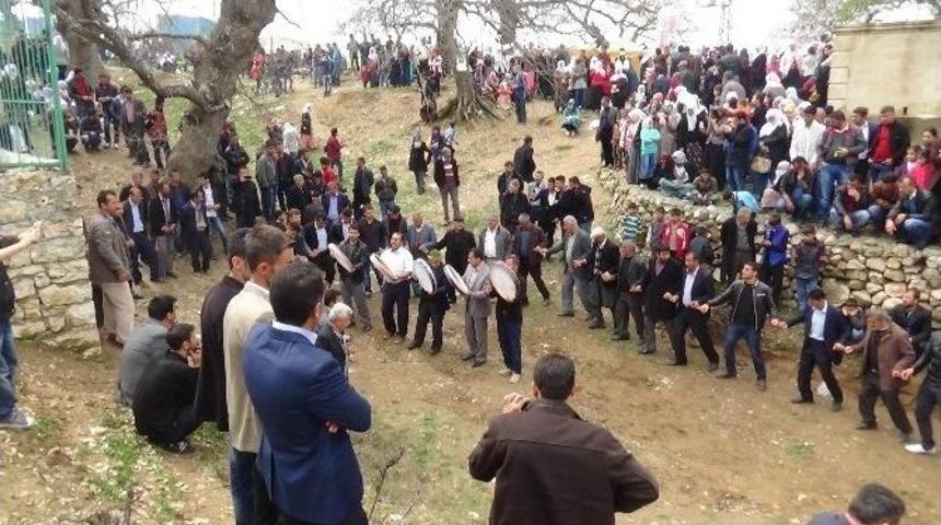 Kulp&rsquo;ta Murat Şenlikleri Başladı