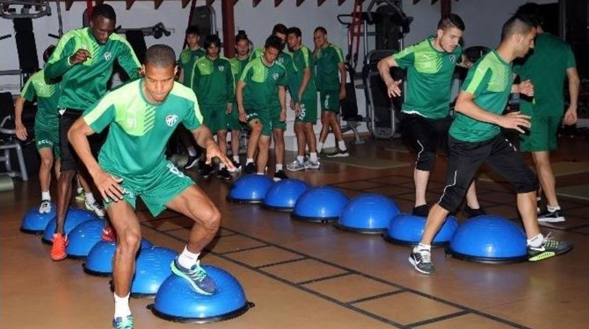 Timsah Salonda &Ccedil;alıştı