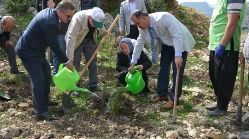 Şehit Y&uuml;zbaşı Yiğitcan &Ccedil;iğa&rsquo;nın Adı Ormanda Yaşayacak