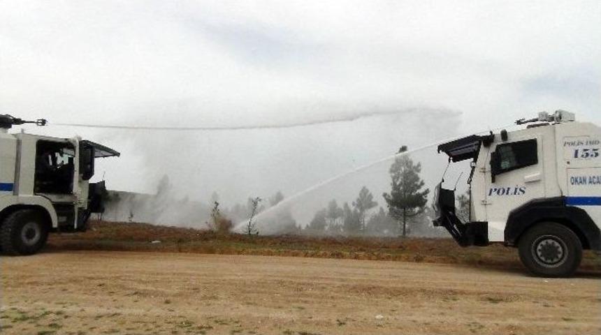 Toma Bu Kez Ağa&ccedil;ları Suladı