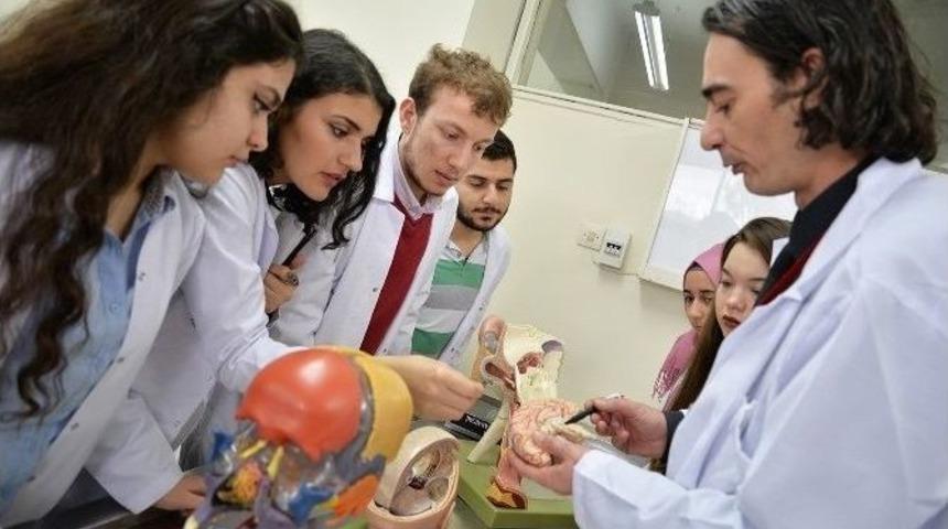 Bursa&rsquo;da Kadavra Bağışında Umut Verici Artış