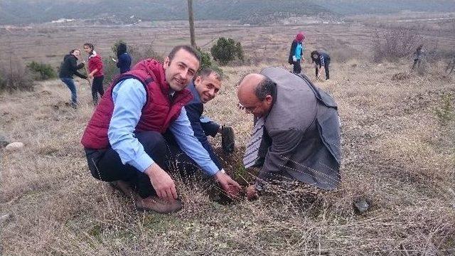 Kargı Fen Lisesi Öğrencileri Fidan Dikti 2