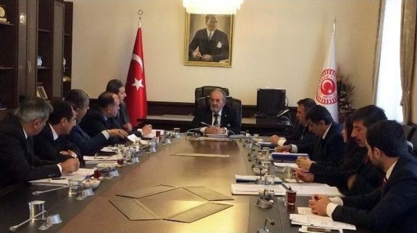 Meclise Bitkisel &Ccedil;itli G&uuml;venlik Duvarı