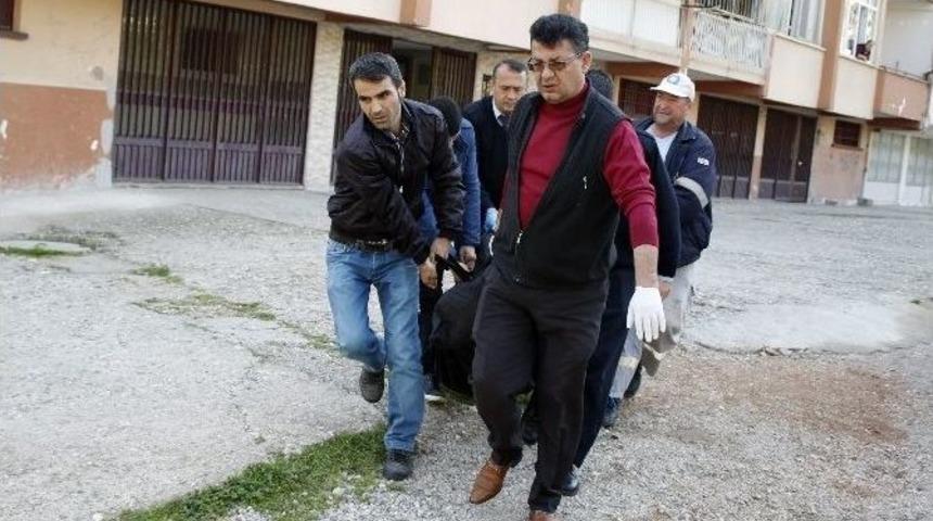 İlişki Sırasında &Ouml;ld&uuml;