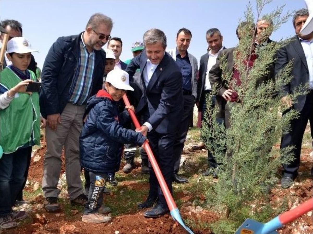 Gaziantep İhh Yetimler İ&ccedil;in Diktti