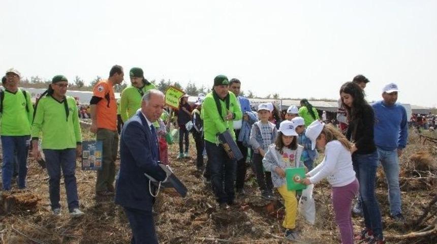 Minik Eller Amanos Dağlarına 20 Bin Fidan Tohumu Ekti