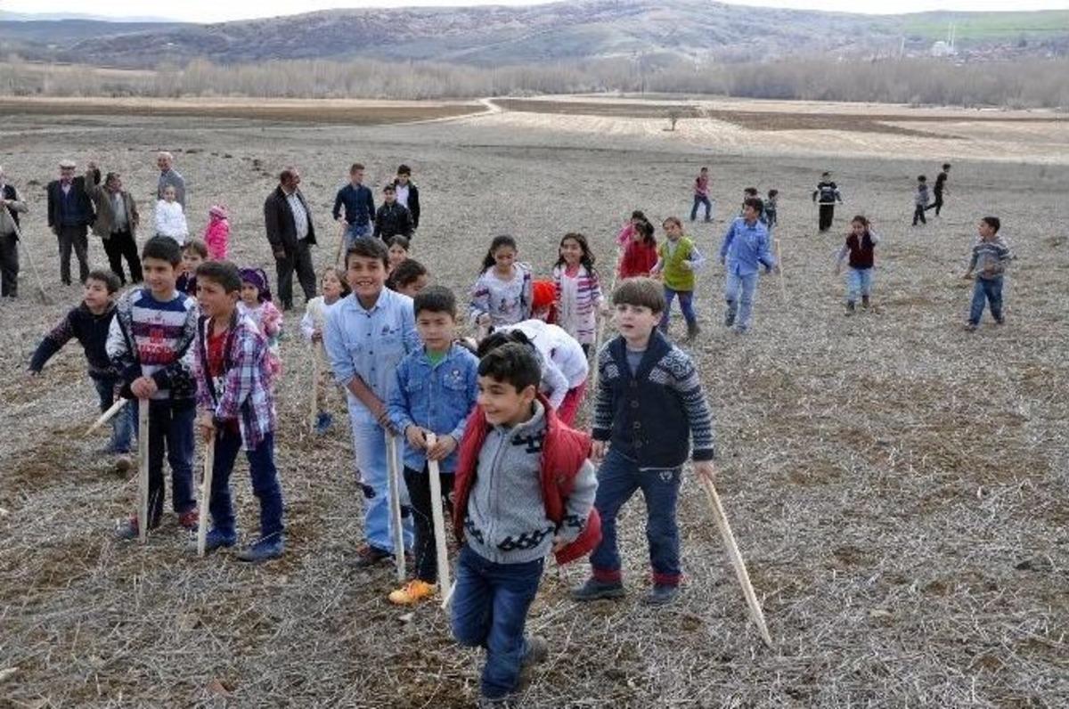 Sorgun&rsquo;da &Ccedil;iğdem Gezdirme Geleneği Yaşatılıyor