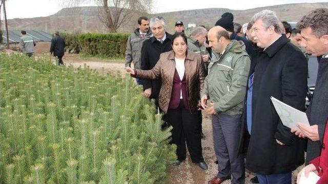 Bakan Yardımcısı Tüfekci Tedavi Edilen Şahini Doğaya Bıraktı