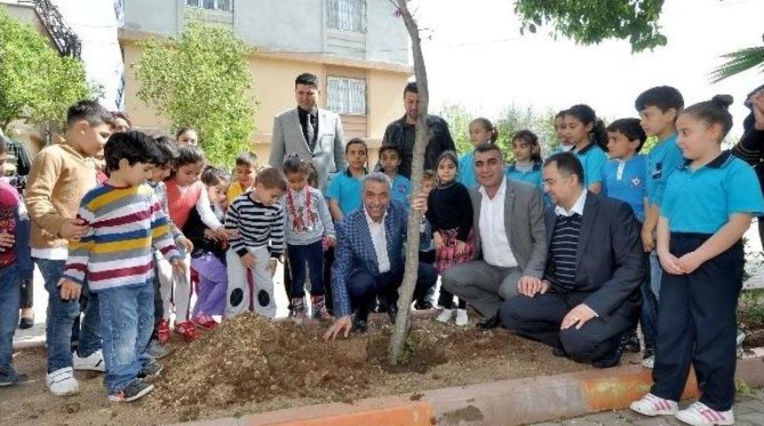 B&uuml;y&uuml;kşehir, Okulların Bah&ccedil;elerini Ağa&ccedil;landırıyor