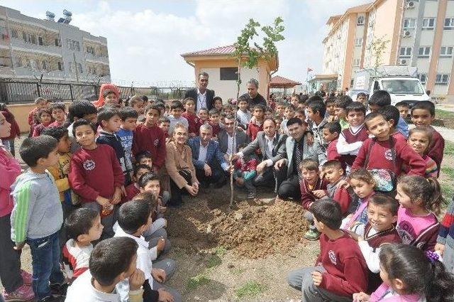 Büyükşehir, Okulların Bahçelerini Ağaçlandırıyor