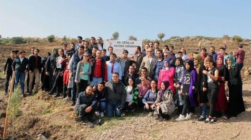 Ak Parti&rsquo;den Şehitler Anısına Fidan