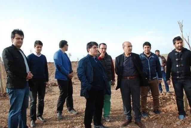 Gap Başkanı Sadrettin Karahocagil Beşpınarı Gezdi 1