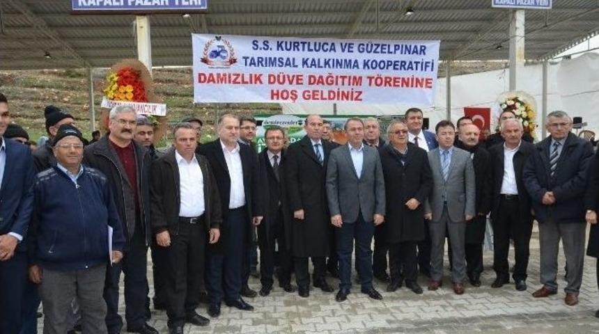 Denizli&rsquo;de &Uuml;reticilere 250 Gebe D&uuml;ve Dağıtıldı