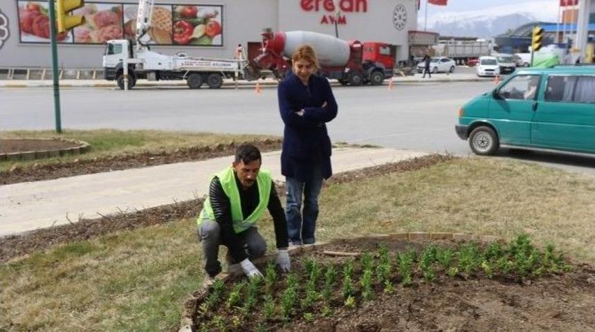 Binlerce &Ccedil;i&ccedil;ek Toprakla Buluşturuluyor