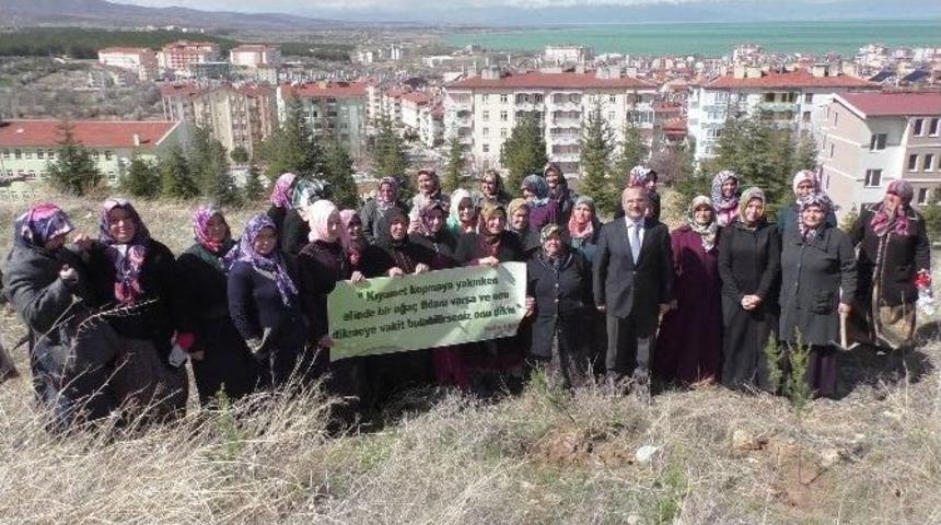 Beyşehir&rsquo;de Kız Kur&rsquo;an Kursu &Ouml;ğrencileri Fidan Dikti