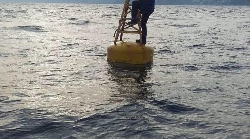 Denizin Ortasındaki Duba Hayatını Kurtardı