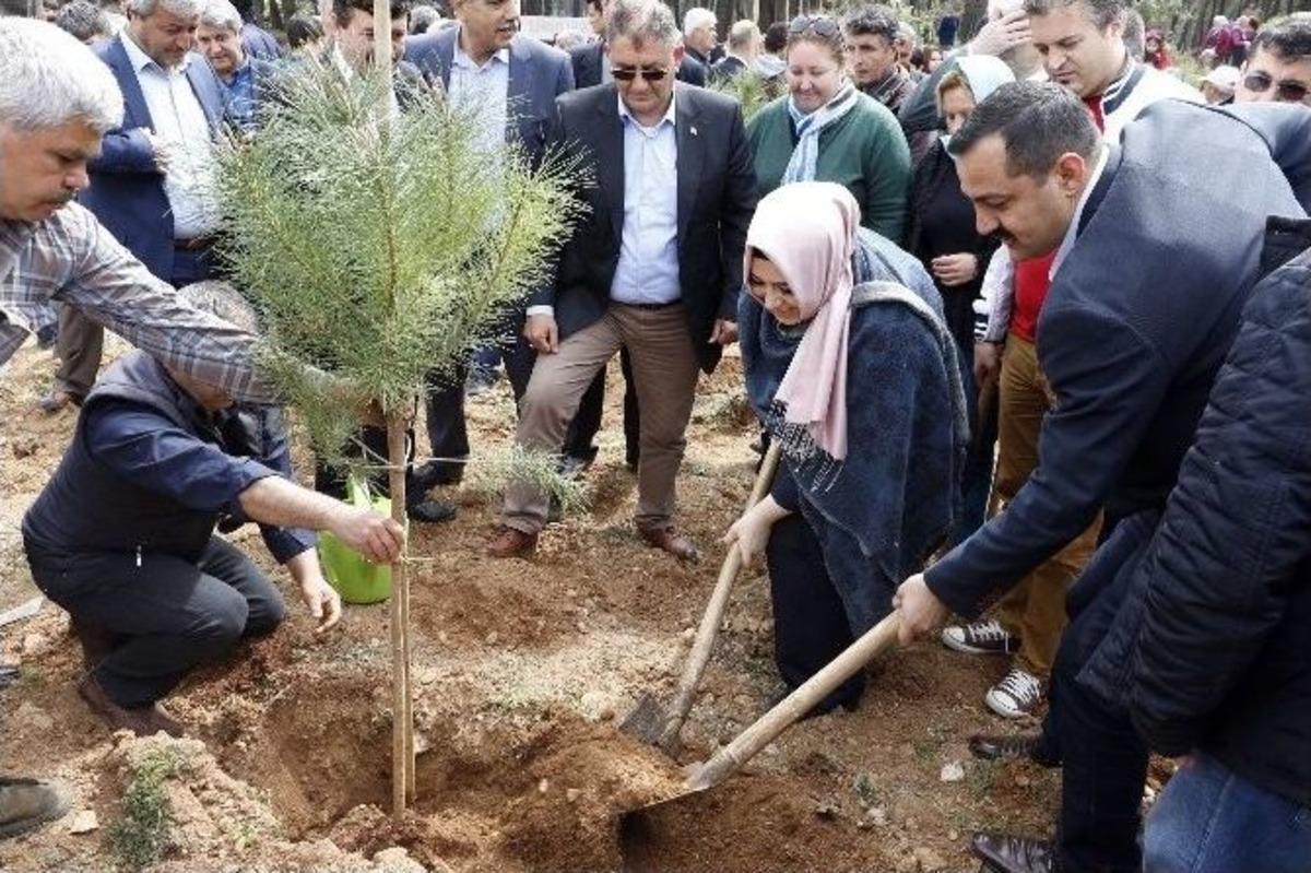 Ak Parti İl Başkanlığı Birlik Beraberlik Buluşması